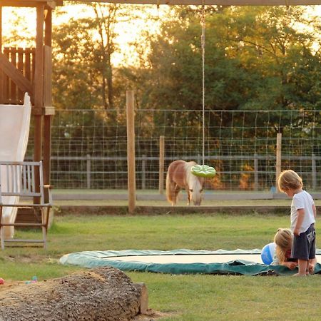 Bed and Breakfast Domaine Ramonjavel, Glamping & Alpaca'S Fongrave Exterior foto