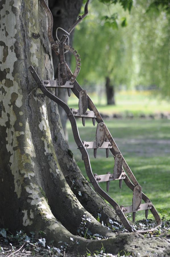Bed and Breakfast Domaine Ramonjavel, Glamping & Alpaca'S Fongrave Exterior foto